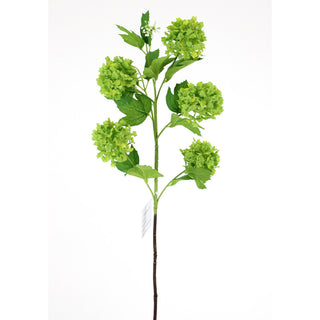 Green Snowball Spray