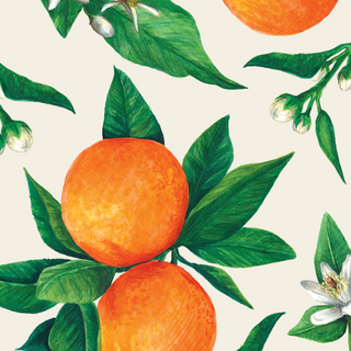 Orange Orchard Cocktail Napkin Set