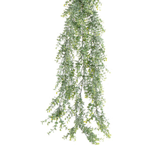 Hanging Mini Eucalyptus