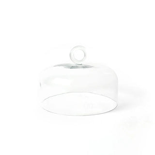 Ring Handle Glass Dome, Small