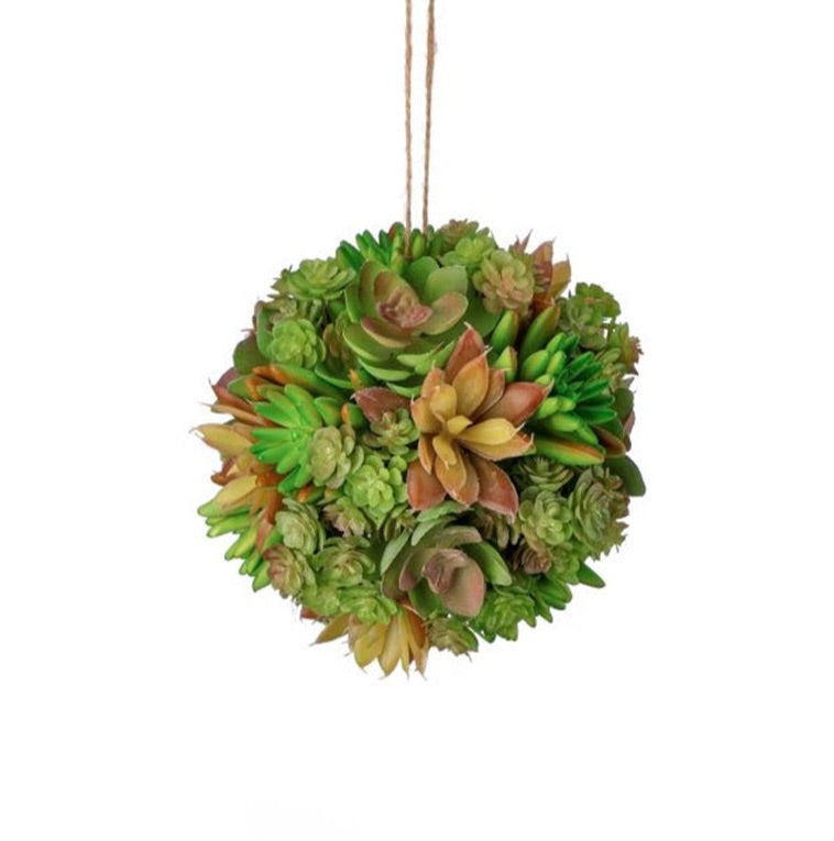 succulent ball for sale Larger Green Brown Succulent Orb