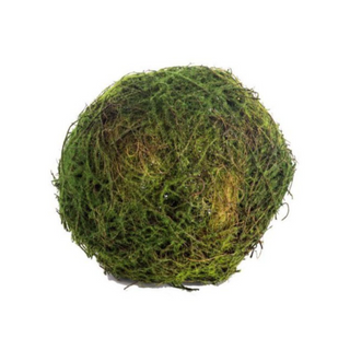 Moss Orb, 5"