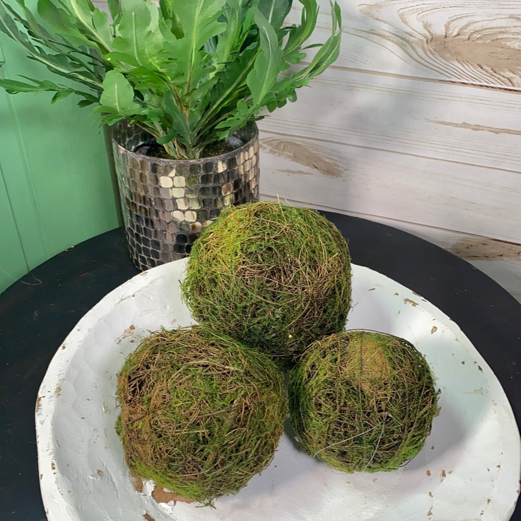 Faux Plants