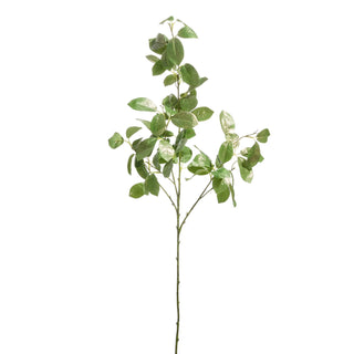 Picks & Sprays | Spring