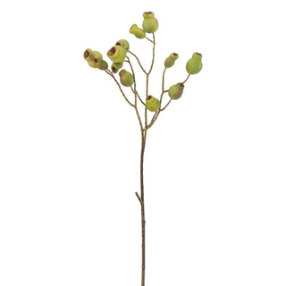 Eucalyptus Pod Spray