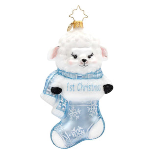 A Snowy Blue First Christmas