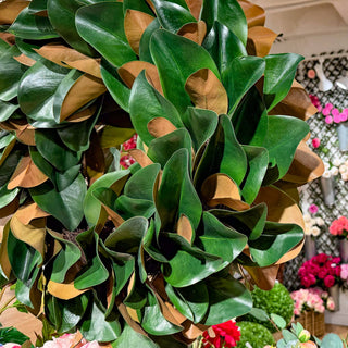 Magnolia Leaf Wreath, 27"