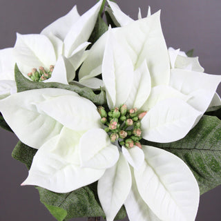 15" White Poinsettia Bush