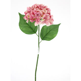 Pink Hydrangea Stem