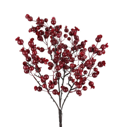 Cranberry Berry Bush
