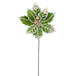 Green Poinsettia