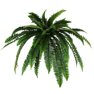 UV Boston Fern Bush