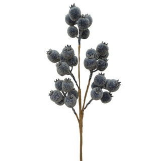 Blue Berry Spray