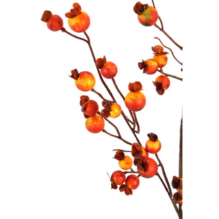 Orange Wired Spray