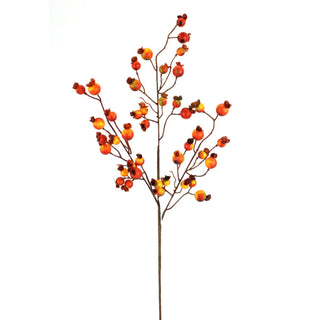 Orange Wired Spray