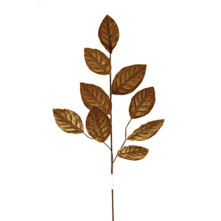 Brown Leaf Spray