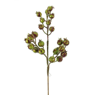 Red & Green Berry Pick