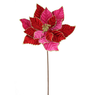 Red & Pink Poinsettia Stem
