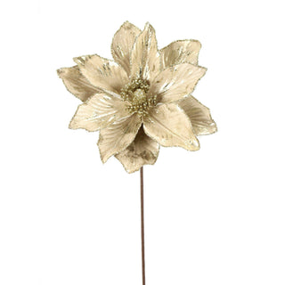 Champagne Magnolia Stem