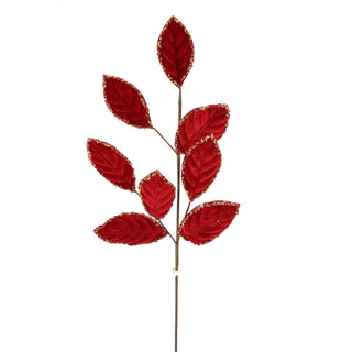 Red Leaf Spray