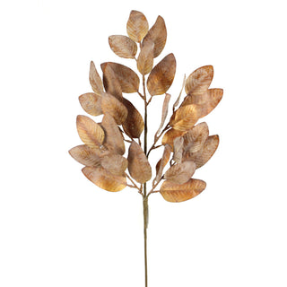 Brown Leaf Spray