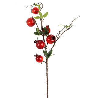 Pomegranate Leaf Spray