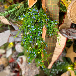 Oregano Spray