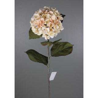 Cream Hydrangea Stem