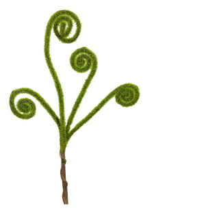 Moss Curly Pick
