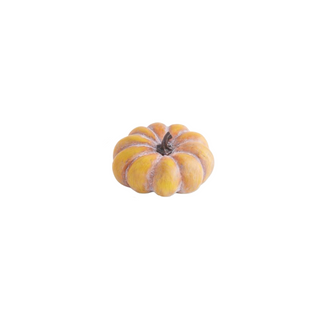 Traditional Fall Pumpkin