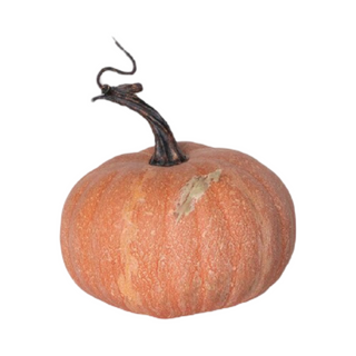 Autumn Garden Pumpkins