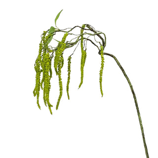 Hanging Amaranthus Spray