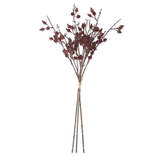 Burgundy Straw Flower Bundle