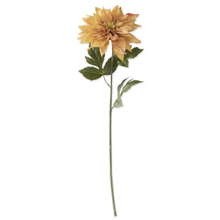 Yellow & Pink Dahlia Pick