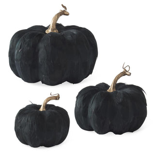 Black Feather Pumpkin