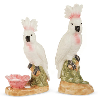 Pink and White Cockatoo