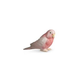 4" Pink Parrots