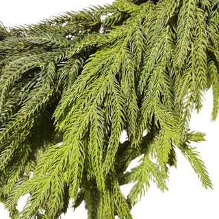 26" CUSTOM MARDI GRAS WREATH