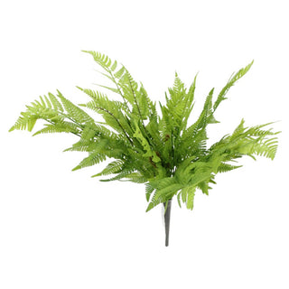 Green Fern Bush