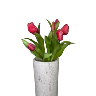 Pink Tulip Bundle