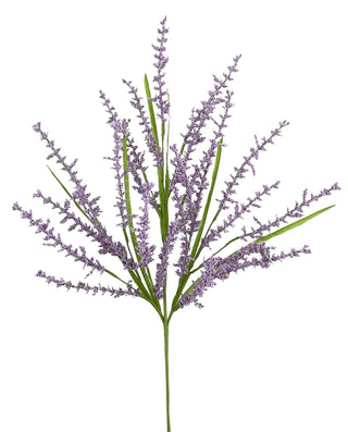 Feather Reed Grass Spray