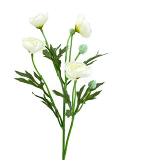 White Ranunculus Spray