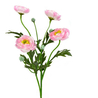 Pink Ranunculus Spray