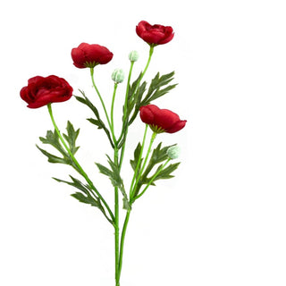 Red Ranunculus Spray