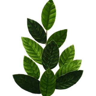 Green Velvet Magnolia Leaf Spray
