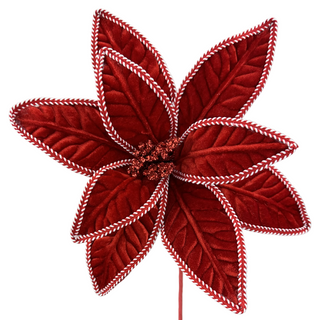 Red & White Poinsettia Stem