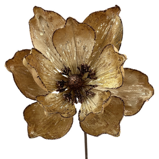 Magnolia Stem