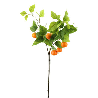 Orange Branch Spray