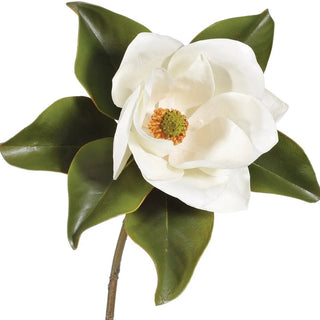 Two Tone White Magnolia Pick