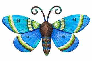 Autumn Moth Magnets
